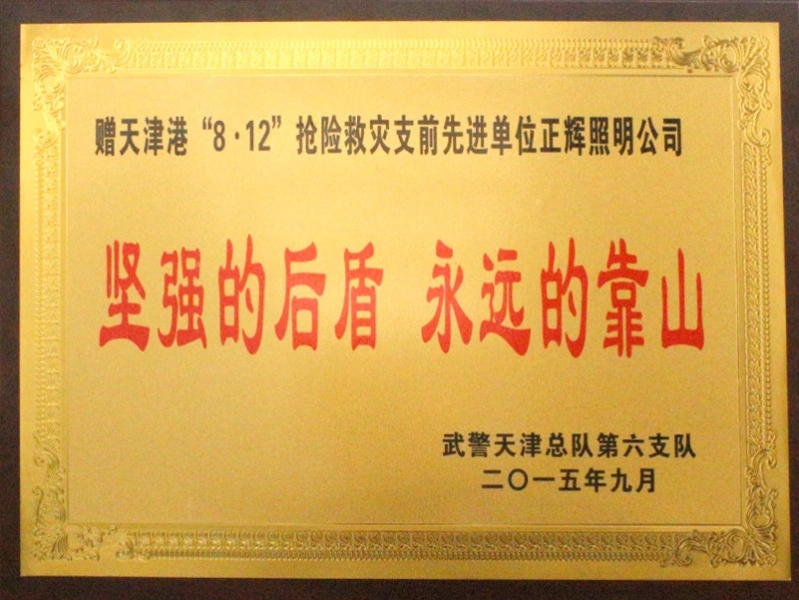 天津搶險救災先進單位